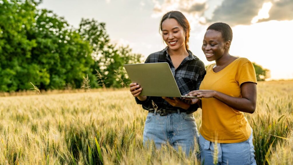 Navigating Opportunities in Sustainability: A Guide for Future Consultants